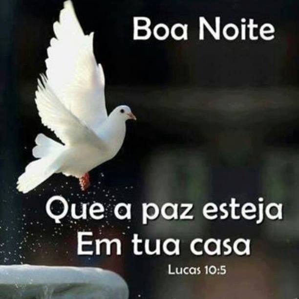 Boa noite