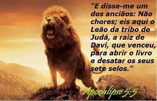 Apocalipse 5.5 Apocalipse 5.5
